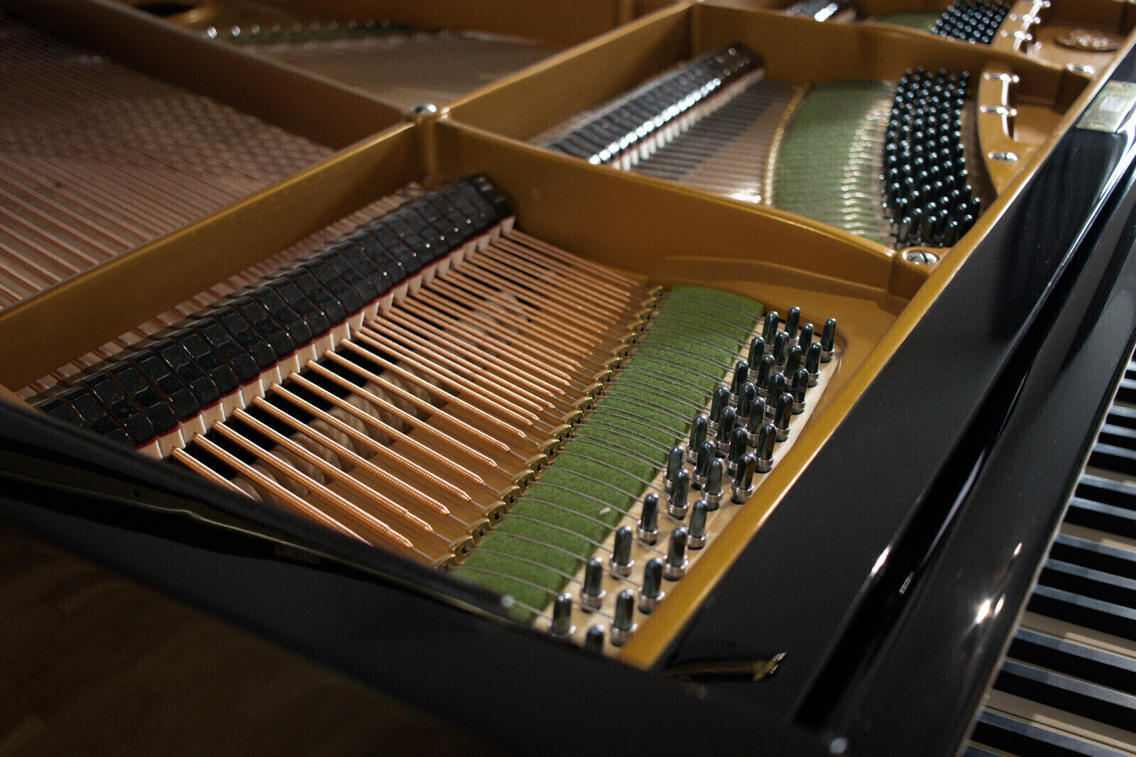 Bechstein vleugel uit 1901